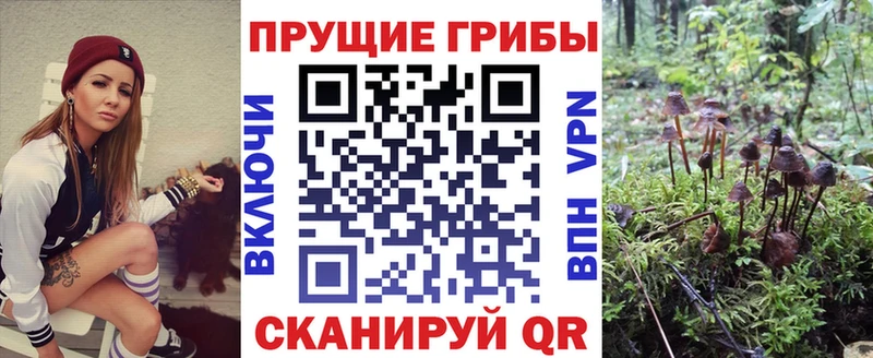гидра вход  Клинцы  Псилоцибиновые грибы мухоморы  купить наркотики цена 